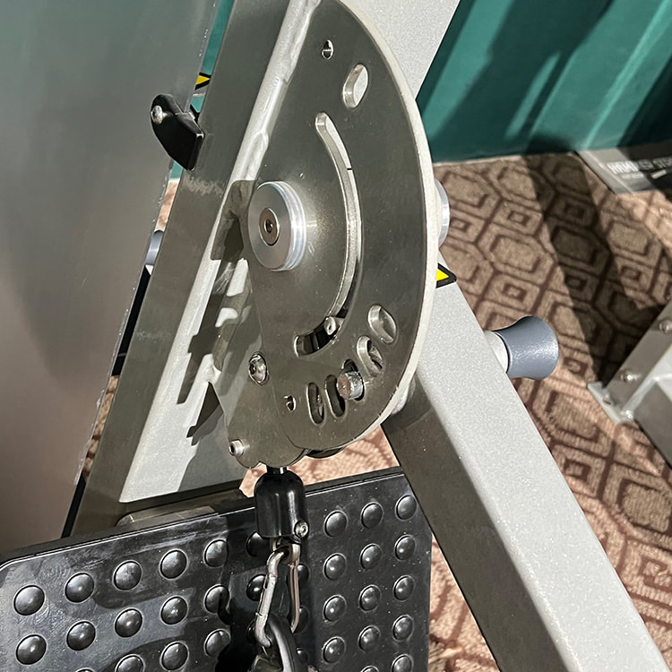 Visoki leđni mišić<br />HS-PD Visoki leđni mišić<br />HS-PD